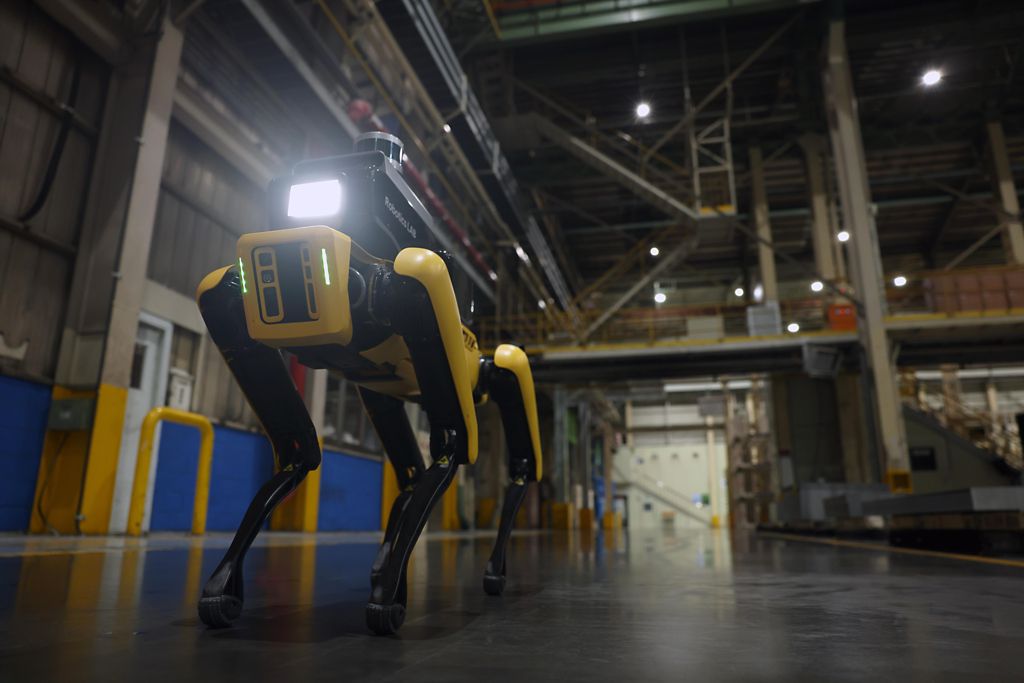 Factory Safety Service -robotti
